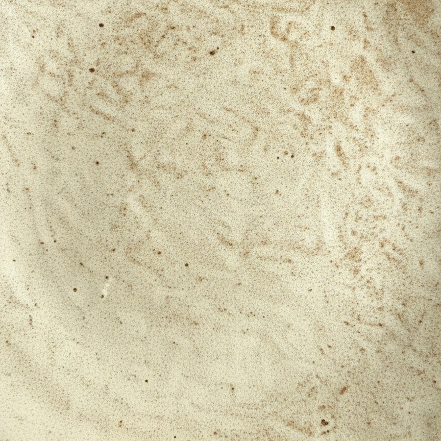 Macro of the sandy matte glaze and rust mineral speckle on the Sabbia stoneware plate