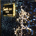 LED Star Tree Floor Lamp