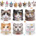 Cat-Themed Birthday Party Kit, 31 pc