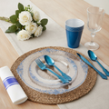 Clear and blue disposable plastic plates, cup and cutlery set styled place setting