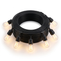 Outdoor Edison bulb string lights on white background