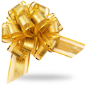 Gold organza pull bow on white background