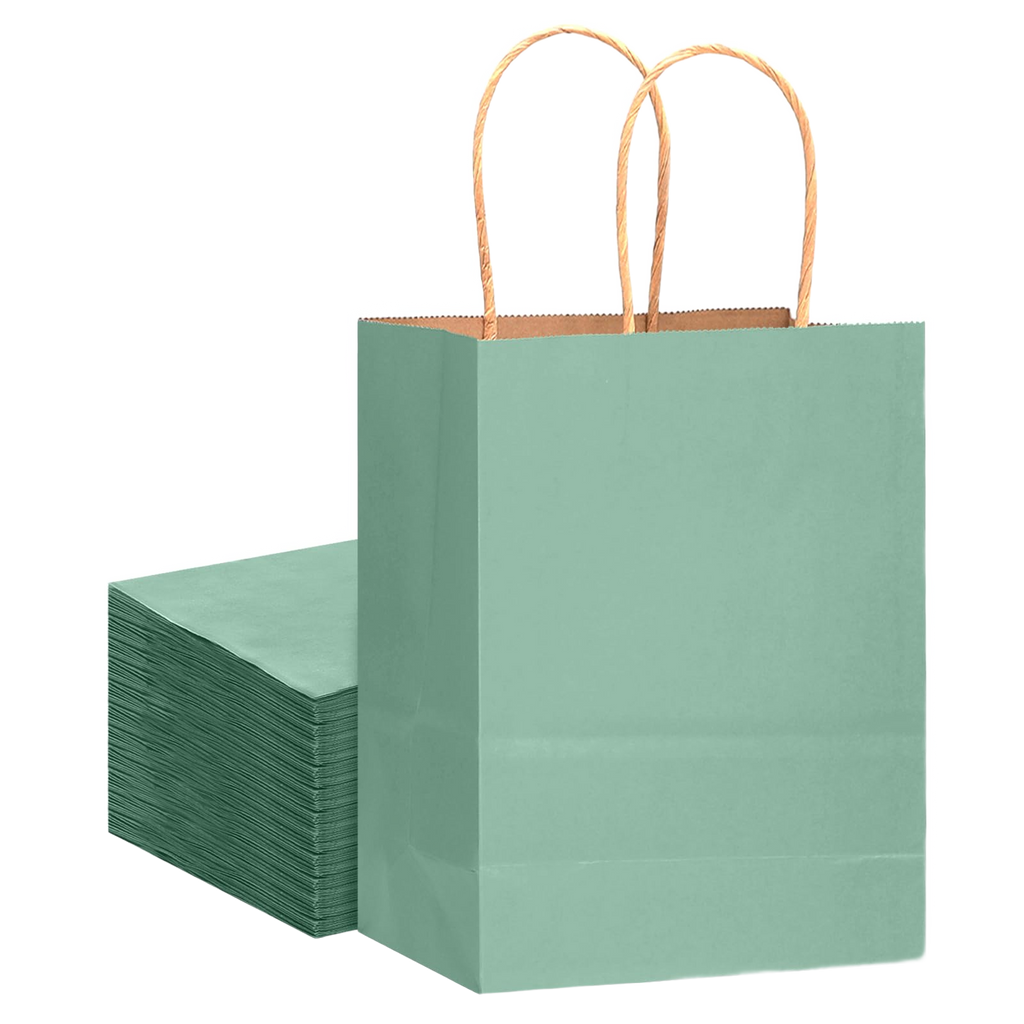 Seafoam green large kraft paper gift bag with twisted handles, 60 pack