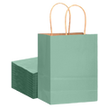 Seafoam green large kraft paper gift bag with twisted handles, 60 pack