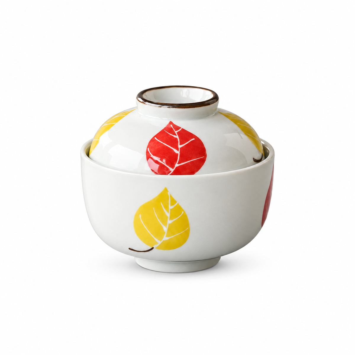 bowl leaves ceramic bowl with matching lid on white background