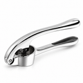 Complete polished silver garlic press on white